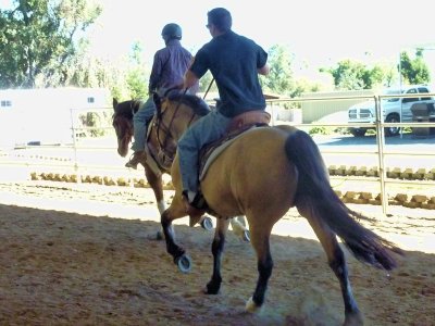 xhorses 040.JPG