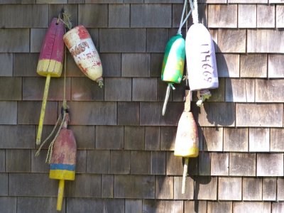 Sea Ranch June 2012