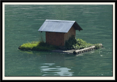 A Duck House