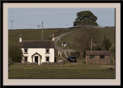 The Cottage