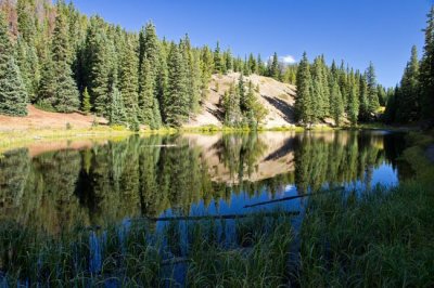 Trail Ridge Road 12