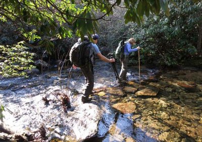 Crossing Matthews Creek