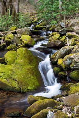 March 17 - cascades and waterfalls on Laurel Fork