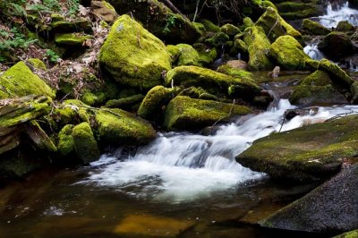 cascades and waterfalls on Laurel Fork 4