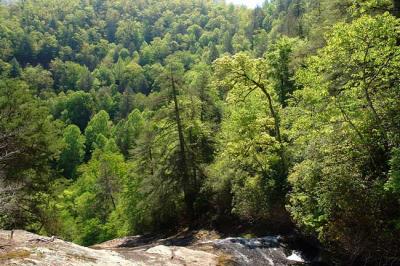 Flat Creek Falls