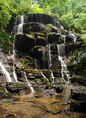 Yellow Branch Falls