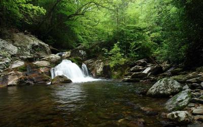 another small waterfall on Middle Prong