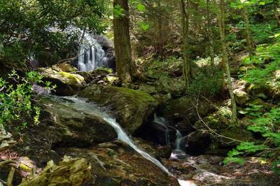 waterfall in Shining Rock Wilderness area