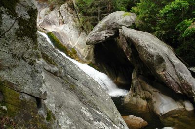 Steels Creek 9