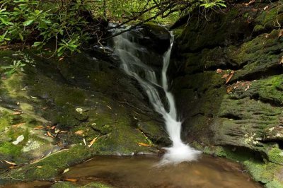 waterfall on West Ridge Branch