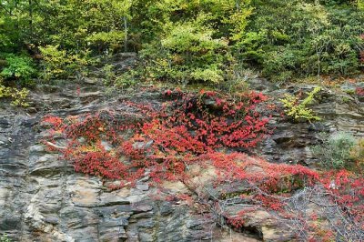 Blue Ridge Parkway 11