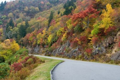 Blue Ridge Parkway 13