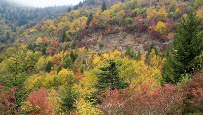 Blue Ridge Parkway 14