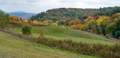 Max Patch Mountain 1