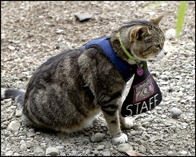 Chester,  Zoo Staff