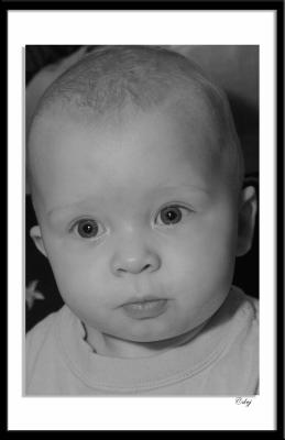 DSC_0557-aa 4x6.jpg