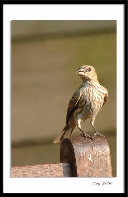 DEJ_0594-aa.jpg