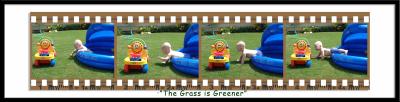 The-grass-is -greener-aa.jpg
