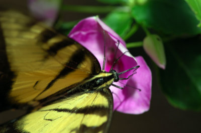 DXB_2317-aa.jpg