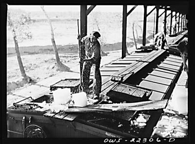 g4/79/383279/3/62297947.P221iqb6.jpg