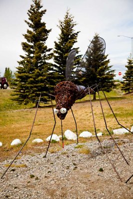 West Fork to Eielson Air Force Base