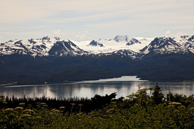 _MG_2258.jpg