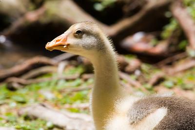 _MG_0783.jpg