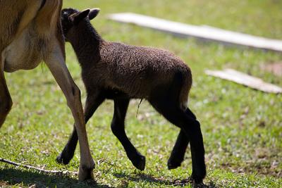 _MG_0918.jpg
