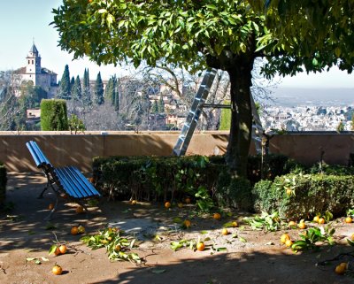 Bench With a  View