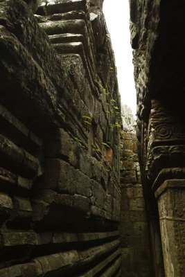 120102 Angkor 122.jpg
