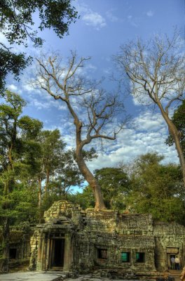 120103 Angkor 118_19_20.jpg