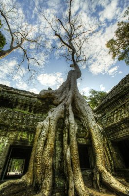 120103 Angkor 132_3_4_1.jpg