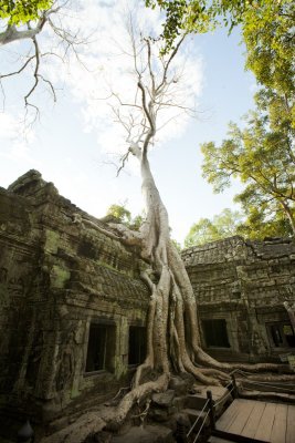 120103 Angkor 144.jpg