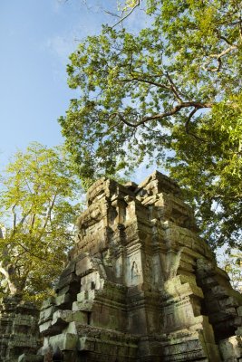 120103 Angkor 162_1.jpg