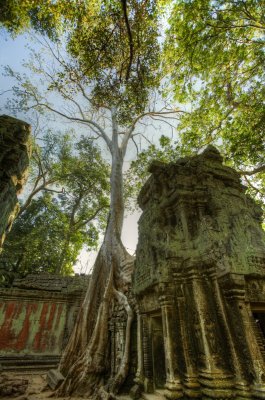 120103 Angkor 195_6_7.jpg