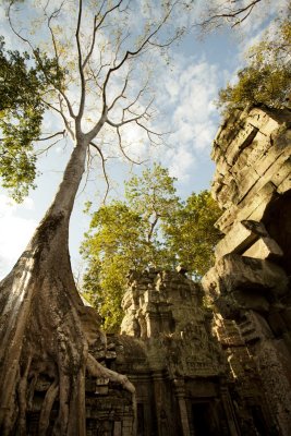 120103 Angkor 206.jpg