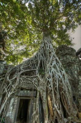 120103 Angkor 222_3_4.jpg