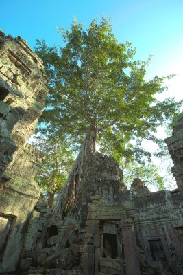 120103 Angkor 231-233.jpg