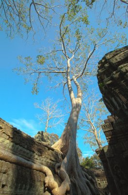 120103 Angkor 238-240.jpg