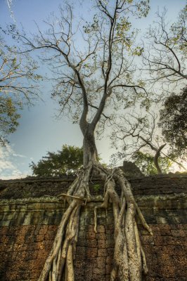 120103 Angkor 243_4_5.jpg