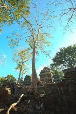 120103 Angkor 251-253.jpg