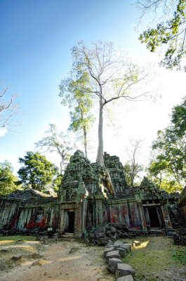 120103 Angkor 254_5_6_fused copy.jpg