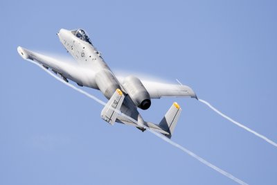 IMG_0985.jpg