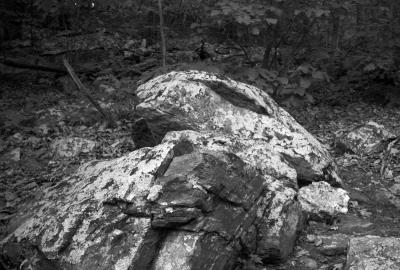 Rock-BW.jpg