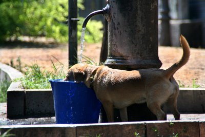 09-Aug-2006