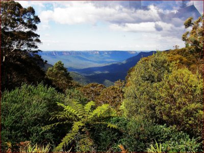 56. The Blue Mountains.