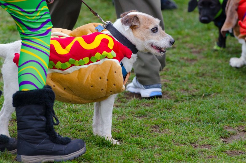 tigard_dog_park_102911