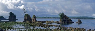 3 graces 12x36.jpg