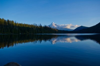 DSC_7228.jpg
