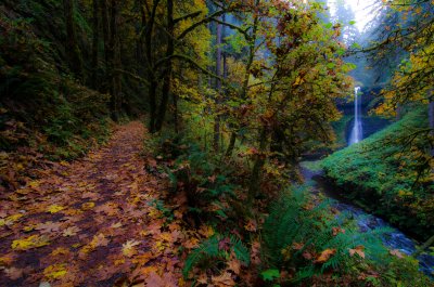 DSC_7184.jpg